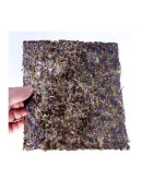 Nori Green Laver Kim 100 pcs 200 g