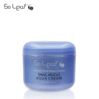 So Leaf Snail Mucus Aqua Cream 100ml