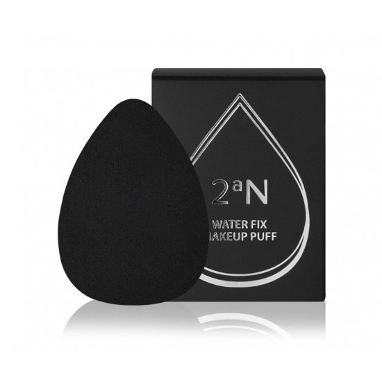 2aN Water Fix Makeup Puff 2g 