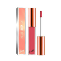 BBIA Last Velvet Lip Tint No.16 5g