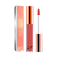 BBIA Last Velvet Lip Tint No.17 5g