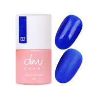 Danmi UV Led Gel Polish B2 5ml 