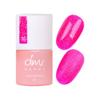 Danmi UV Led Gel Polish T6 5ml