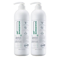Dr. Banggiwon Dandruff Care Hair Loss Shampoo 2еа х 1000ml