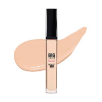 Etude House Big Cover Skin Fit Concealer Pro No.01 7g 