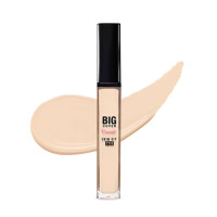 Etude House Big Cover Skin Fit Concealer Pro No.06 7g