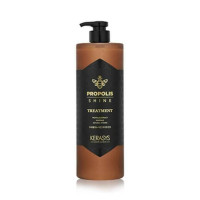 Kerasys Propolis Energy Treatment 1000ml