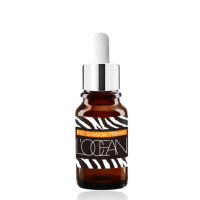 L’ocean Eye Shadow Primer 10ml