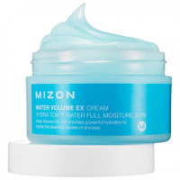 MIZON Water Volume EX Cream 100ml