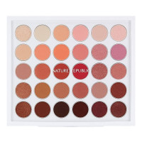 Nature Republic Pro Touch Color Master Shadow Palette Spring Edition