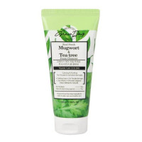 Graceday Real Fresh Mugwort & Tea Tree Foam Cleanser 100ml