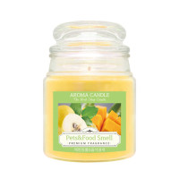 The Herb Shop Aroma Candle Pets and Food Smell 480g 