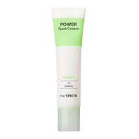 The Saem Power Spot Cream 40ml 