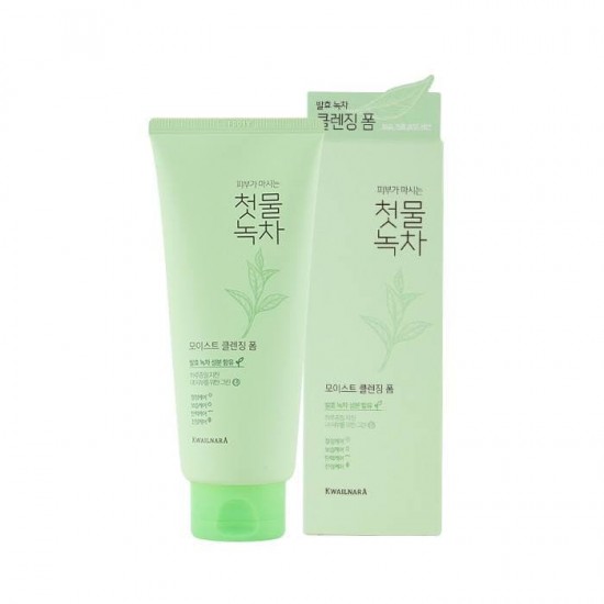 Welcos Kwailnara Spring Leaves Of Green Tea Cleansing Foam 180ml