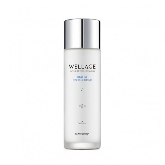 WELLAGE Real HA Hydrate Toner 120ml 