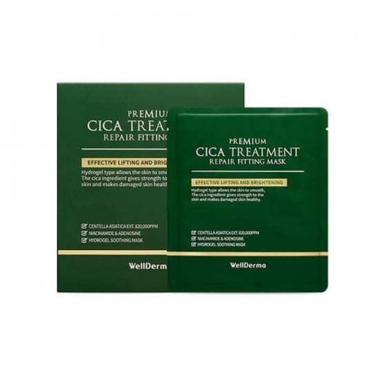 WellDerma Premium Cica Treatment Repair Fitting Mask 4ea x 25g