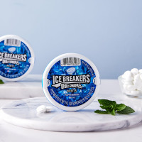 Lotte Icebreaker Mint Flavor 42g