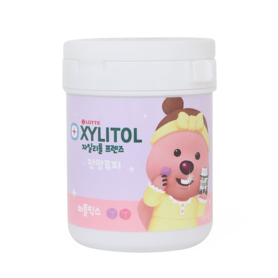 Lotte Xylitol Friends 88g