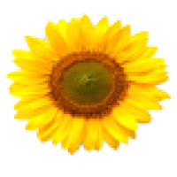 test prod