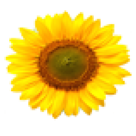 test prod