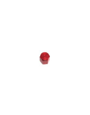 Tuix valve cap D3529AP040
