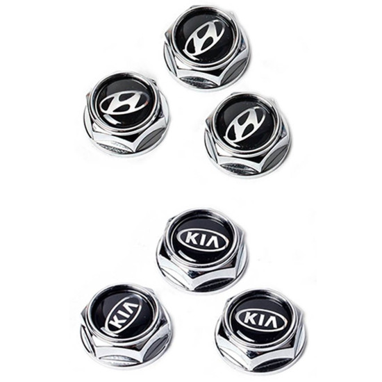 license plate bolt
