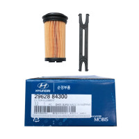 Hyundai Motor Urea Water Filter 2962884300 Mega Truck/All New Mighty/E...
