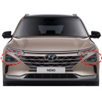 Nexo LED Headlamp/LED Headlight Hyundai Mobis Genuine Parts 92101M5000...