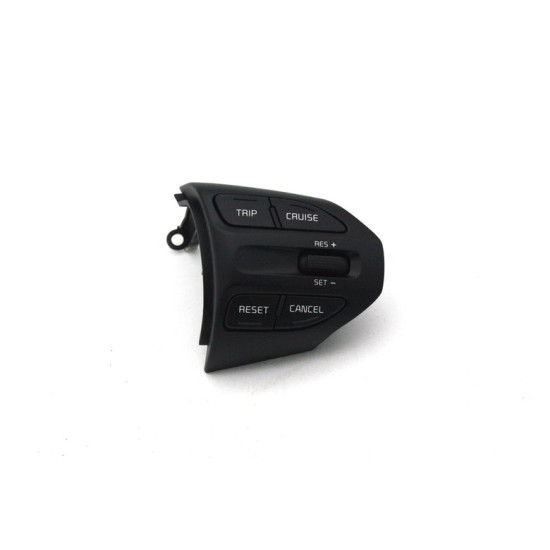 Morning (JA) Year 17 Cruise Switch 96720G6010 96720G6110
