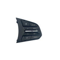 Porter 2 Smart Cruise Control Switch/Remote Control Switch Hyundai Mob...