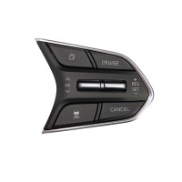 Santa Fe TM Cruise Control Switch/Remote Control Switch Hyundai Mobis ...