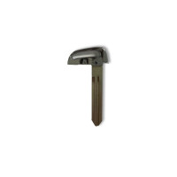 Avante Emergency Key Blanking Key PIC (81996B4520)

