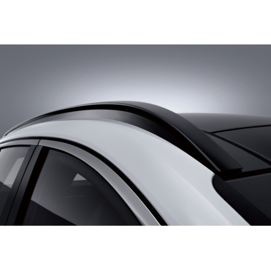 Tucson NX4 Roof Rack/Roof Rack Hyundai Mobis Genuine Parts 87270N9000/87280N9000