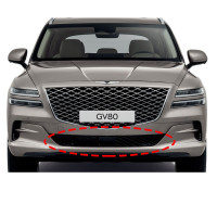 Genesis GV80 bottom example cover grille/front album cover to the gril...