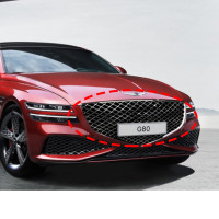 Genesys G80RGE sport radiator grill/radiator grill/Sports example cove...